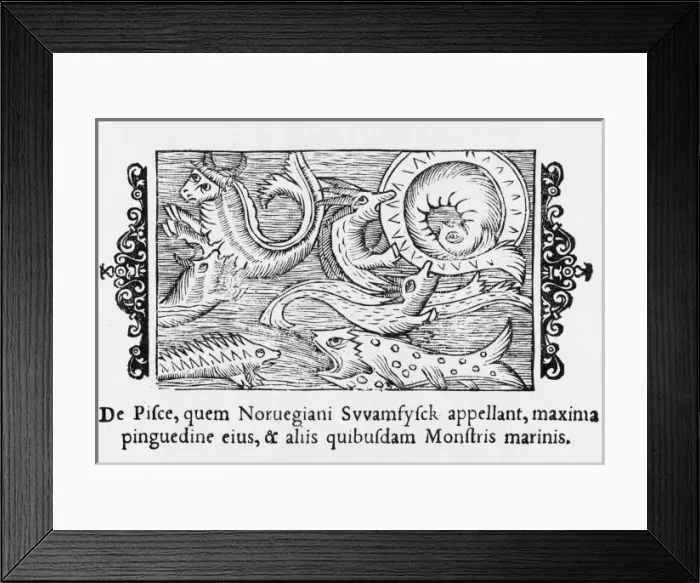Framed Print : Norwegian Marine Life Framed Print : Norwegian Marine Life