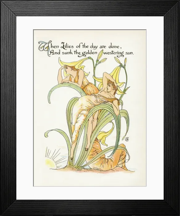 Framed Print : Plants / Hemerocallis Spec Framed Print : Plants / Hemerocallis Spec