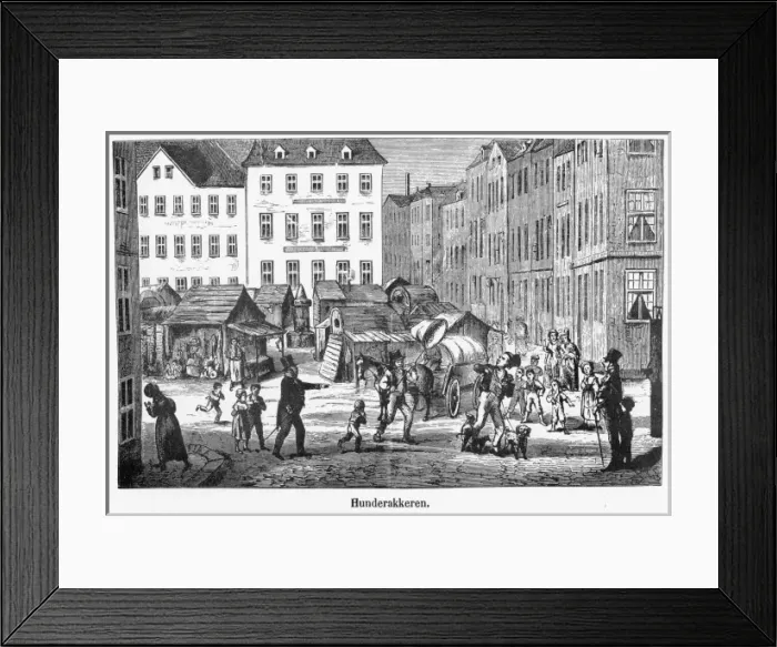 Framed Print : Copenhagen Street Scene