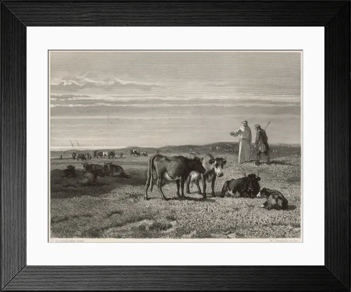 Framed Print : Cattle of Middelburg Framed Print : Cattle of Middelburg