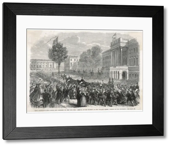Framed Print : Leopold I Acclaimed Framed Print : Leopold I Acclaimed