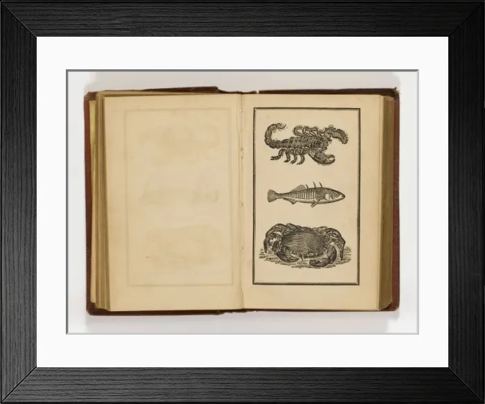 Framed Print : Modern Domestic Cookery