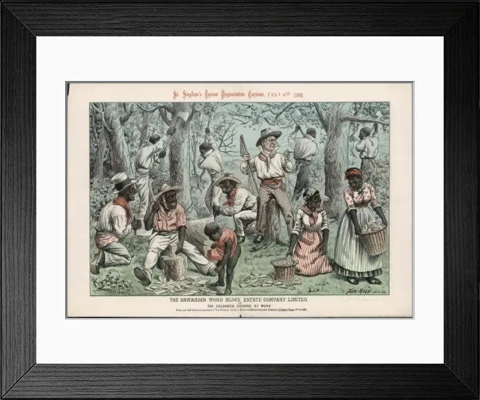 Framed Print : Coloured Cousins 2 Framed Print : Coloured Cousins 2
