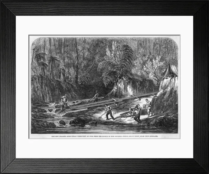 Framed Print : Gold in New Zealand 1853 Framed Print : Gold in New Zealand 1853