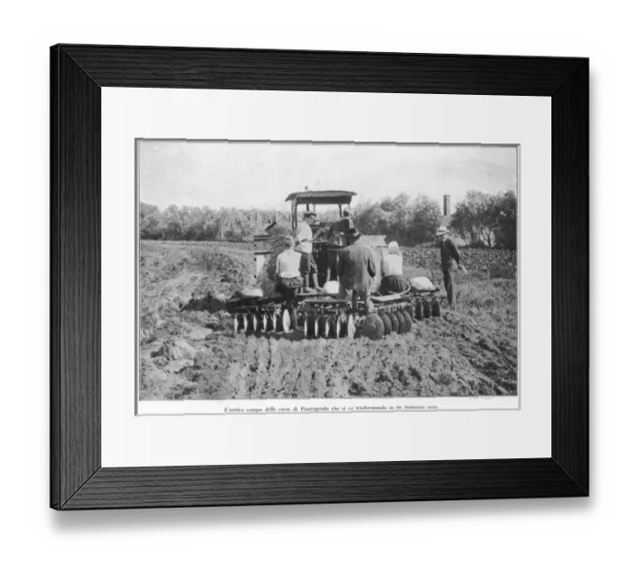 Framed Print : Racecourse Plowed Framed Print : Racecourse Plowed