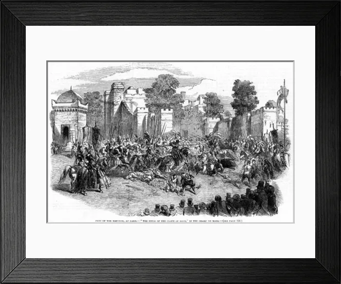 Framed Print : Fete De L empereur Framed Print : Fete De L empereur