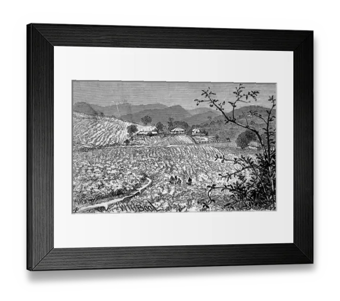 Framed Print : The Wynaad Goldfields, Southern India. View of the Richmond Framed Print : The Wynaad Goldfields, Southern India. View of the Richmond