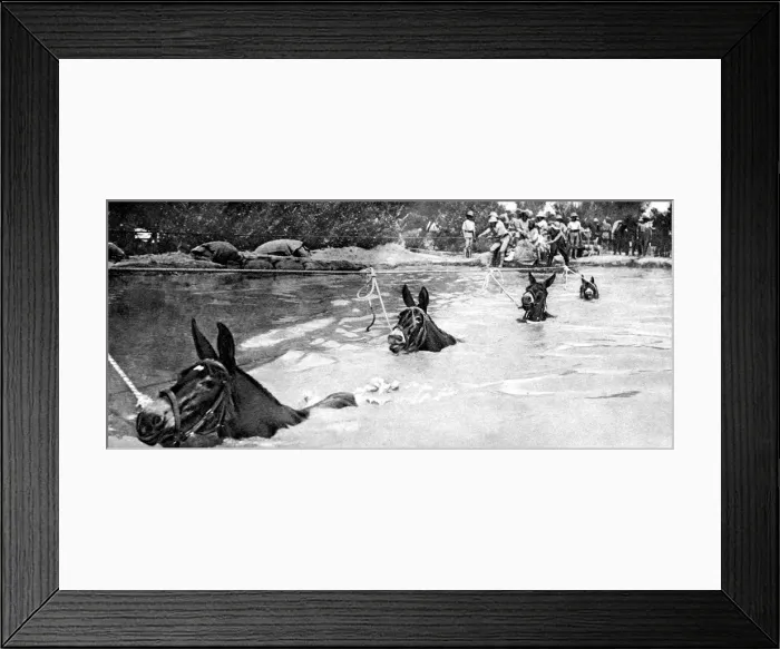 Framed Print : An Indian artillery battery crossing a river Framed Print : An Indian artillery battery crossing a river