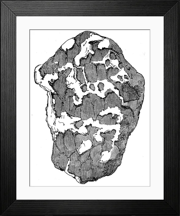 Framed Print : Brazil. Gold Washing. Rounded Water-Worn Pebble of Gold with Framed Print : Brazil. Gold Washing. Rounded Water-Worn Pebble of Gold with