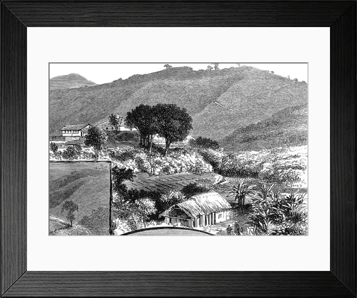 Framed Print : The Wynaad Goldfield, Southern India. Views of the Richmond Framed Print : The Wynaad Goldfield, Southern India. Views of the Richmond