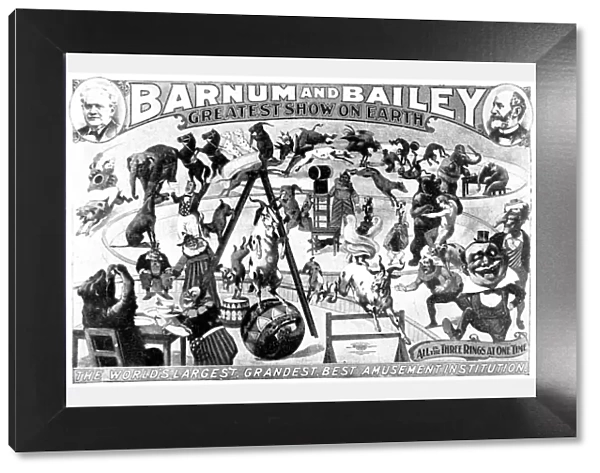 Advertisement for Barnum and Baileys Circus, 1897