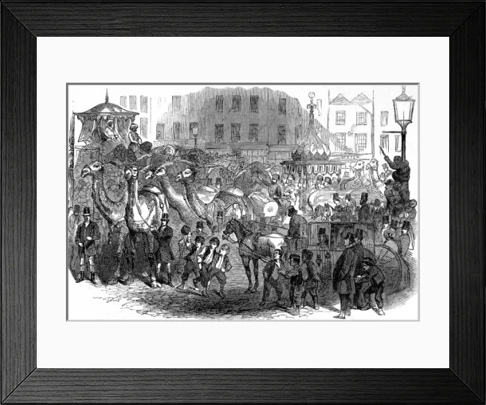 Framed Print : Mr. Hughes Mammoth Troupe moving through London, 1847 Framed Print : Mr. Hughes Mammoth Troupe moving through London, 1847