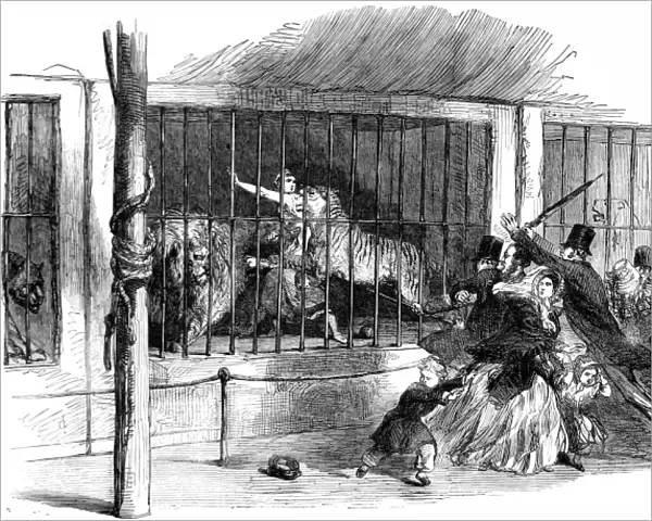 The Death of Ellen Bright at Wombwells Menagerie, 1850