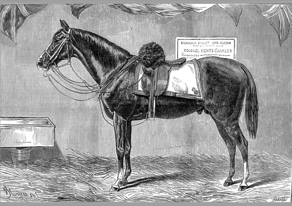 Colonel Kents Horse, 1875