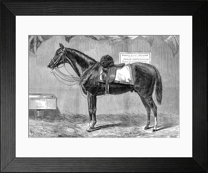 Framed Print : Colonel Kents Horse, 1875 Framed Print : Colonel Kents Horse, 1875