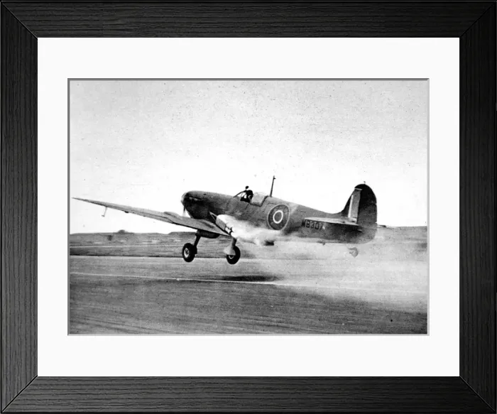 Framed Print : Royal Navy Seafire taking off; Second World War, 1944 Framed Print : Royal Navy Seafire taking off; Second World War, 1944