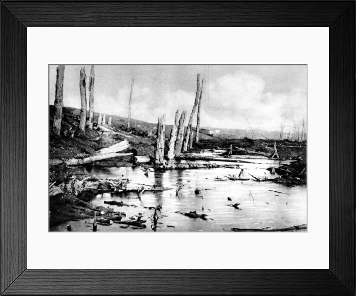 Framed Print : Marshland on the Western Front; First World War, 1916 Framed Print : Marshland on the Western Front; First World War, 1916