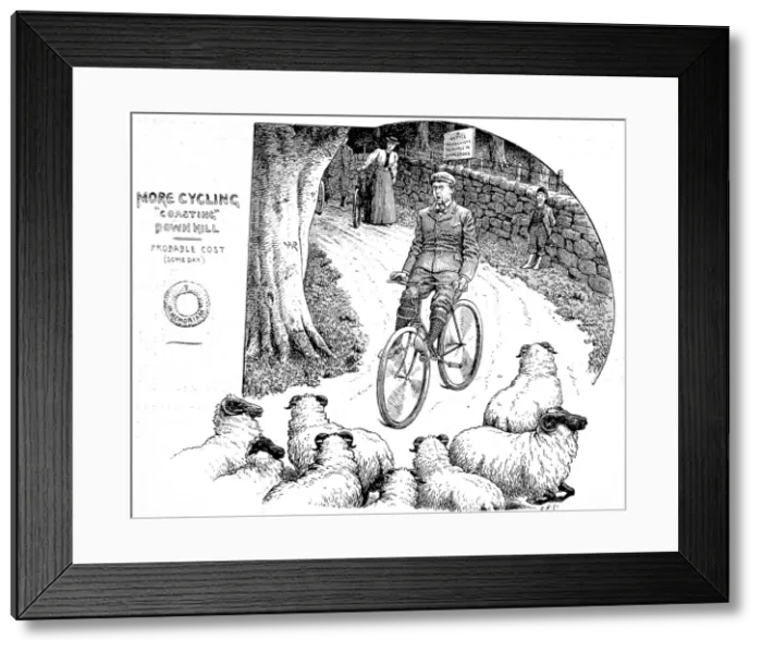 Framed Print : Victorian Cyclist encountering a flock of sheep, 1898 Framed Print : Victorian Cyclist encountering a flock of sheep, 1898