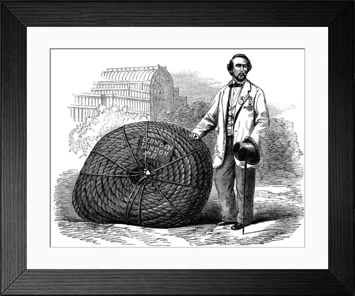 Framed Print : Blondin at the Crystal Palace, London, 1861 Framed Print : Blondin at the Crystal Palace, London, 1861