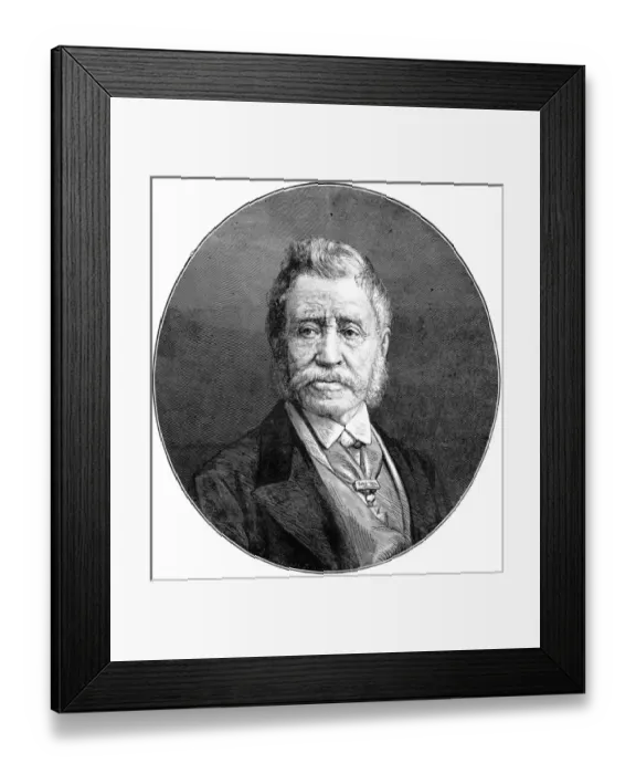 Framed Print : Field Marshal Sir John Burgoyne, c. 1871 Framed Print : Field Marshal Sir John Burgoyne, c. 1871