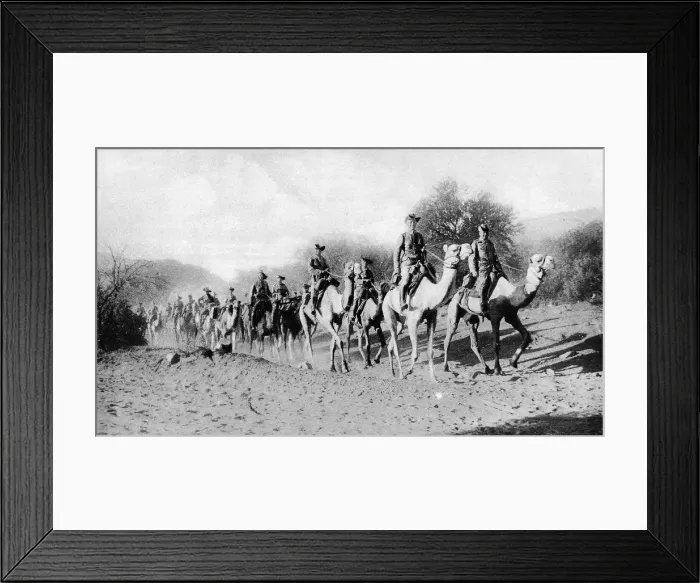 Framed Print : The German South-West Camel Corps Framed Print : The German South-West Camel Corps