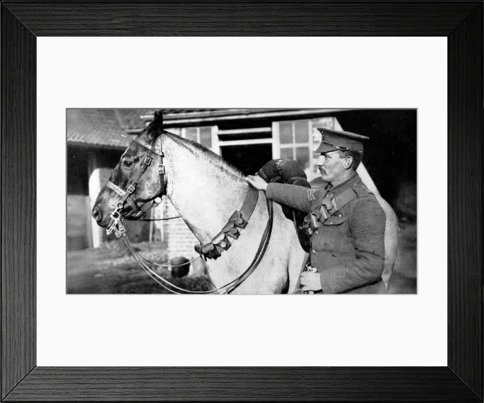 Framed Print : Cavalry chargers as extra ammunition carriers: The horses bandolier