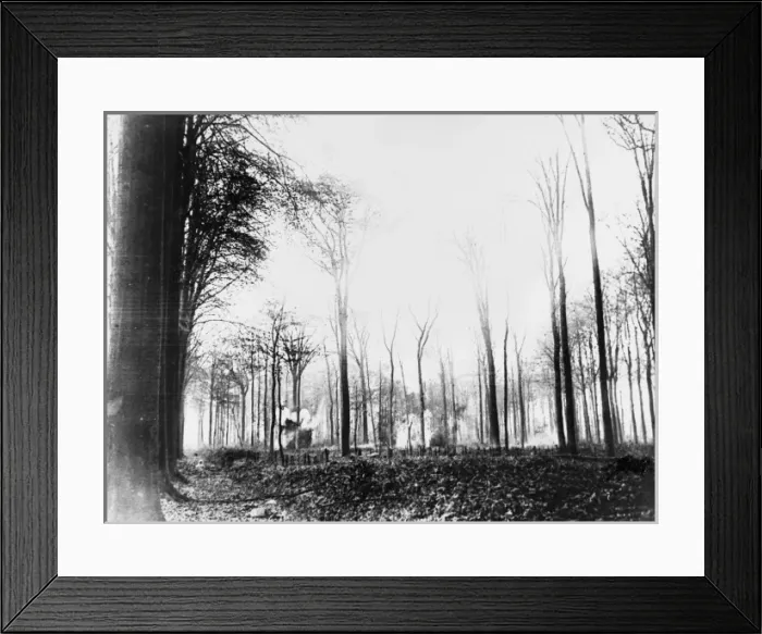 Framed Print : The Somme 1916 Framed Print : The Somme 1916