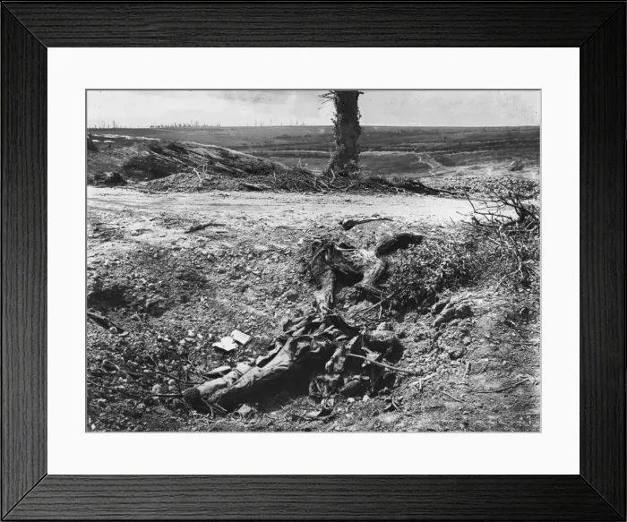 Framed Print : German casualty Framed Print : German casualty