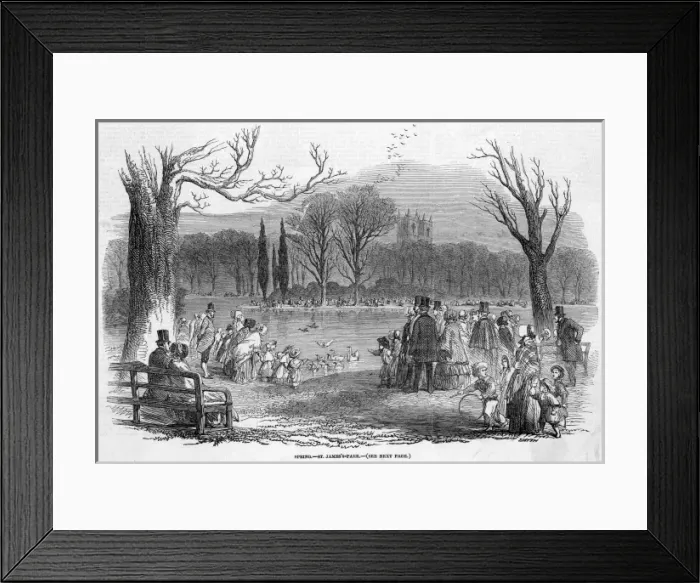 Framed Print : St James Park Framed Print : St James Park