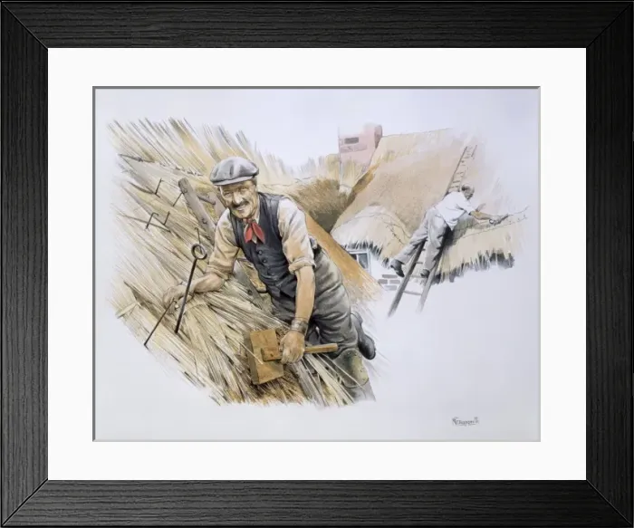 Framed Print : Two thatchers at work Framed Print : Two thatchers at work