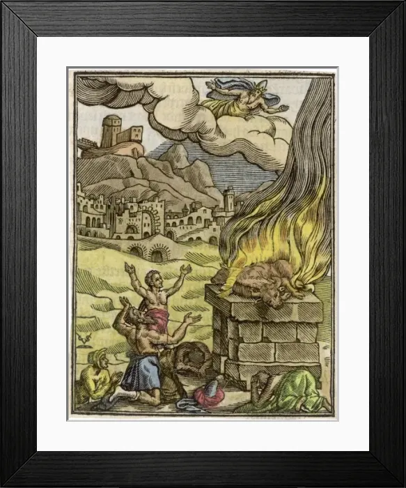 Framed Print : Noah makes a sacrifice of thanks to God Framed Print : Noah makes a sacrifice of thanks to God