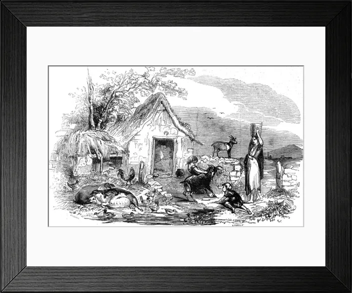 Framed Print : Leinster cottage, Ireland Framed Print : Leinster cottage, Ireland