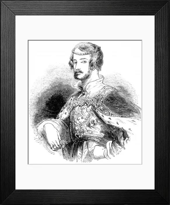 Framed Print : Portrait of Prince Albert, fancy dress ball, 1842 Framed Print : Portrait of Prince Albert, fancy dress ball, 1842
