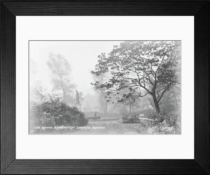 Framed Print : Autumn in Embankment Gardens Framed Print : Autumn in Embankment Gardens
