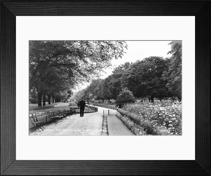 Framed Print : The Flower Beds in Regent's Park Framed Print : The Flower Beds in Regent's Park