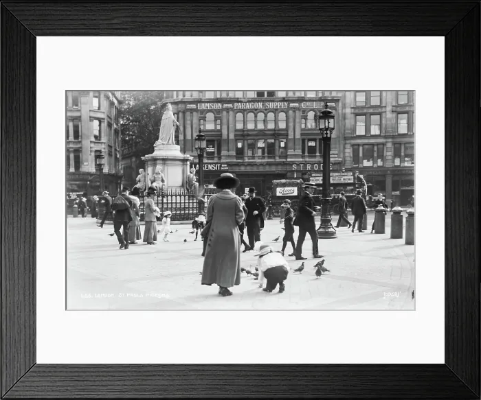 Framed Print : St. Paul's Pigeons Framed Print : St. Paul's Pigeons