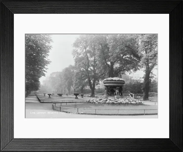 Framed Print : Regents Park in London Framed Print : Regents Park in London