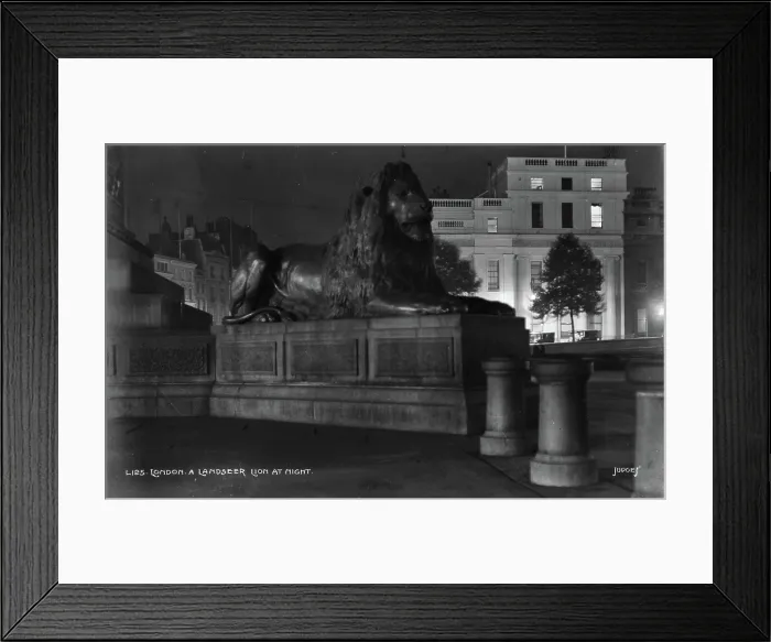 Framed Print : A Landseer Lion at Night Framed Print : A Landseer Lion at Night