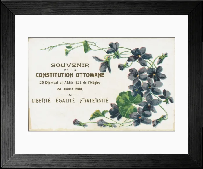 Framed Print : Patriotic Postcard in favour of the Constitution Framed Print : Patriotic Postcard in favour of the Constitution