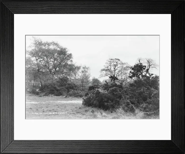Framed Print : On Tooting Bec Common Framed Print : On Tooting Bec Common