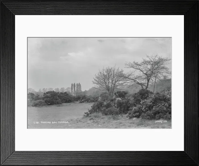 Framed Print : Tooting Bec Common Framed Print : Tooting Bec Common