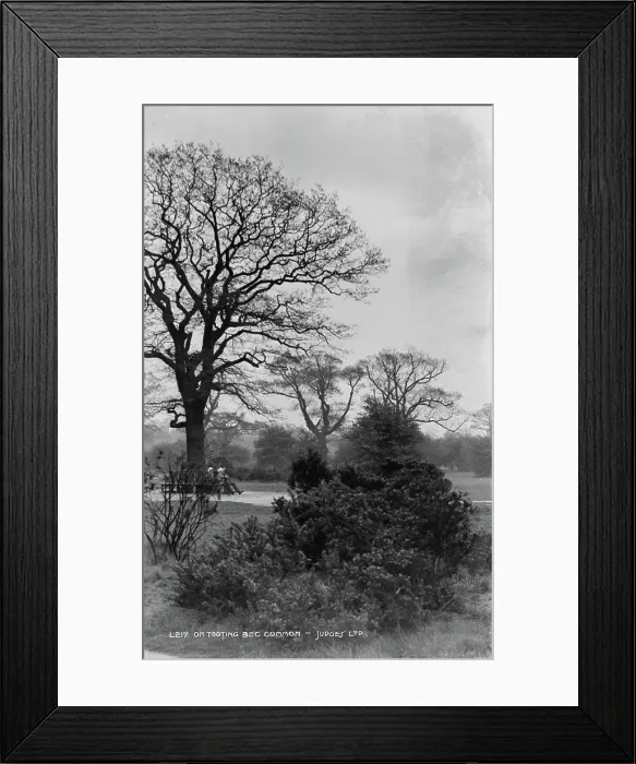 Framed Print : On Tooting Bec Common Framed Print : On Tooting Bec Common