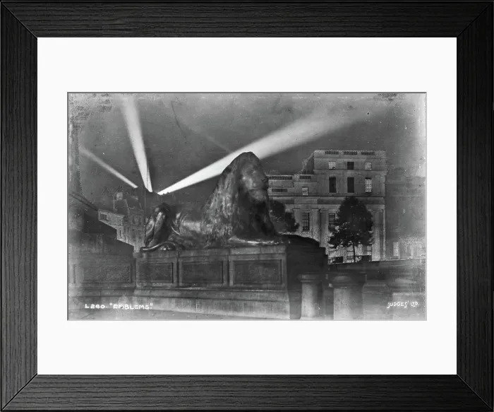 Framed Print : The Lion at Night Framed Print : The Lion at Night