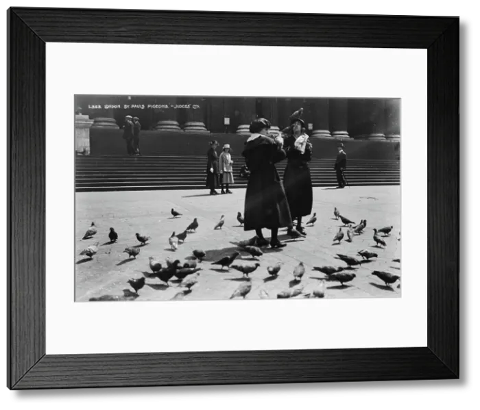 Framed Print : Women Feeding Pigeons at St. Paul's Cathedral Framed Print : Women Feeding Pigeons at St. Paul's Cathedral