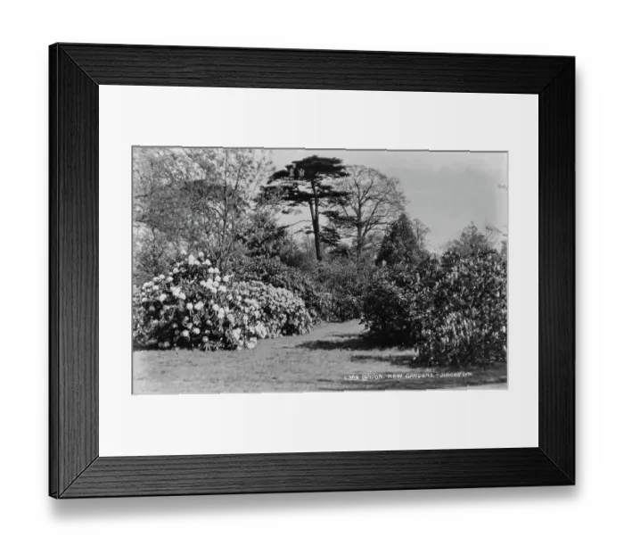 Framed Print : Kew Gardens in Black and White Framed Print : Kew Gardens in Black and White