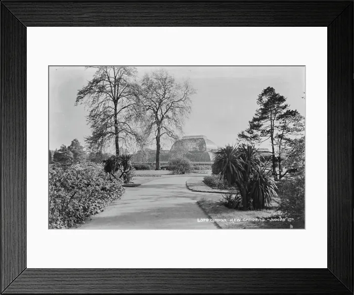 Framed Print : Kew Gardens in London