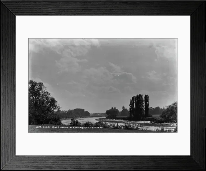 Framed Print : River Thames at Kew Gardens Framed Print : River Thames at Kew Gardens