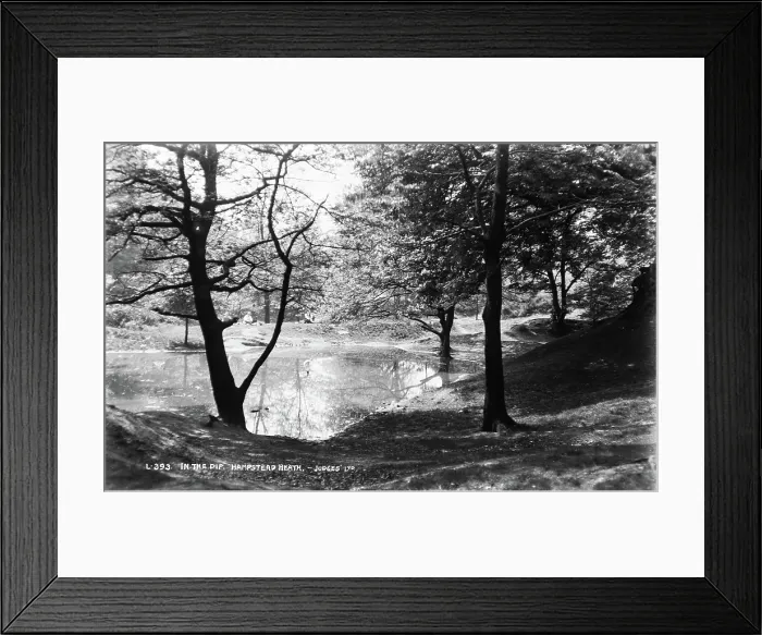 Framed Print : In the Dip, Hampstead Heath Framed Print : In the Dip, Hampstead Heath