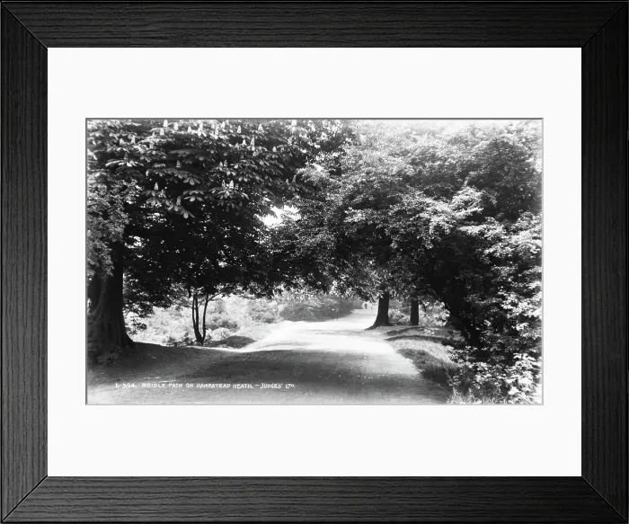 Framed Print : Bridle Path on Hampstead Heath Framed Print : Bridle Path on Hampstead Heath
