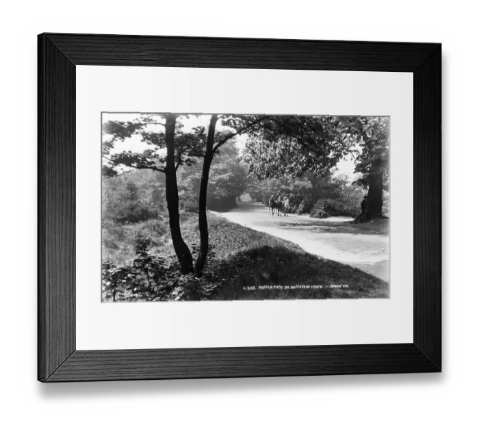 Framed Print : Bridle Path on Hampstead Heath Framed Print : Bridle Path on Hampstead Heath